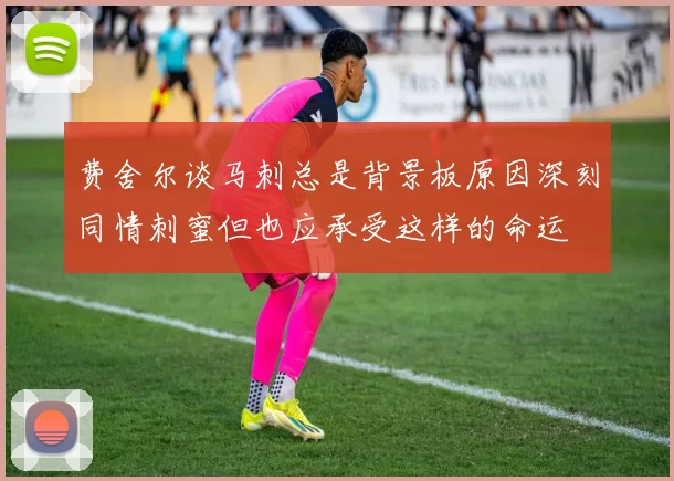 费舍尔谈马刺总是背景板原因深刻同情刺蜜但也应承受这样的命运